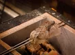 立喰い鮨　浩也 2
